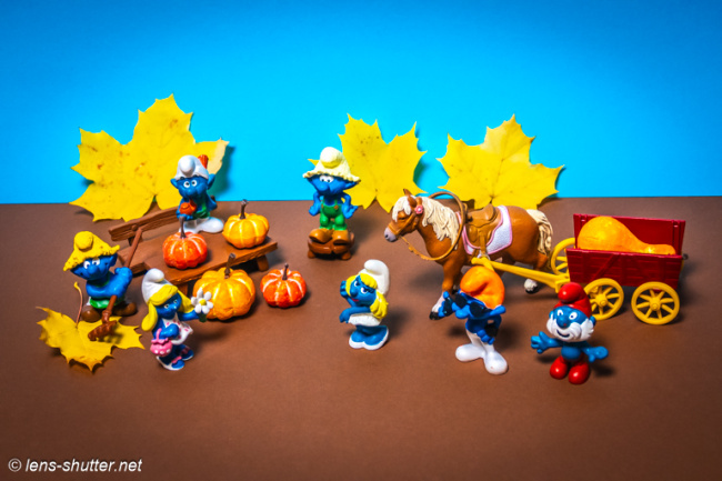 Autumn Market with Pumkins at the Farm